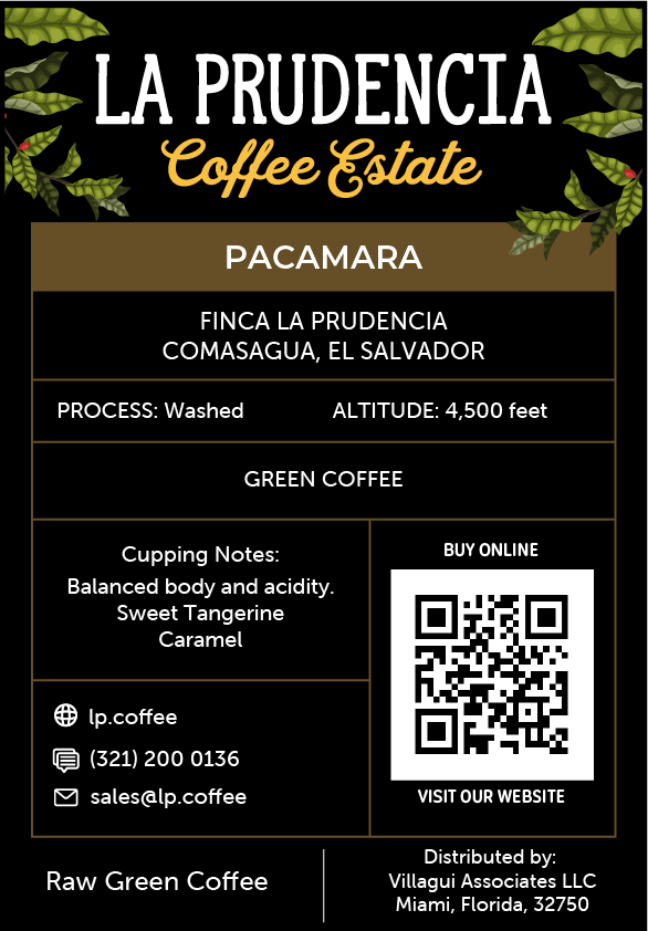 Pacamara | Green Coffee